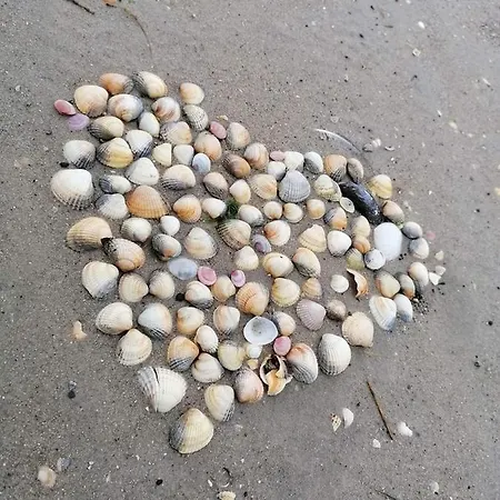 Backbord Apartamento Schillig