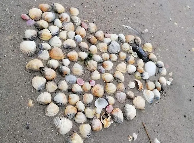 Backbord Apartman Schillig